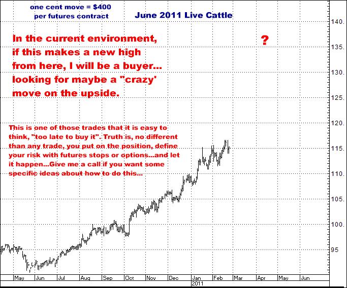 2-23-11june11cattle.png