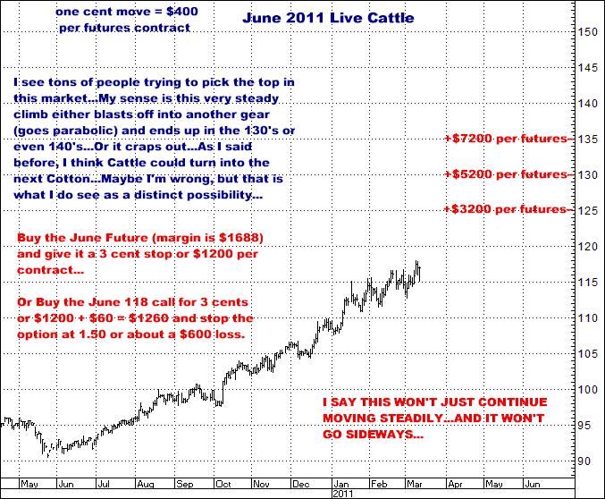 3-11-11june11cattle.png