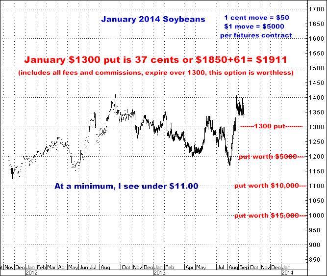 9-17-13jan14soybeans.png