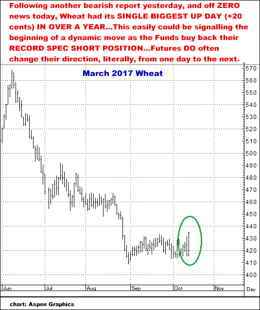 10-13-16march17wheat4.png