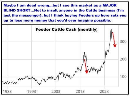A graph showing a bull market

AI-generated content may be incorrect.