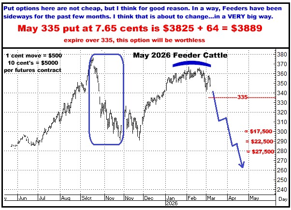 A graph of a bullish cattle

AI-generated content may be incorrect.